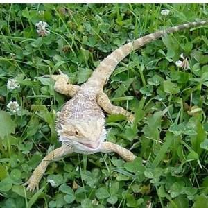 Meet your Posher, Ben